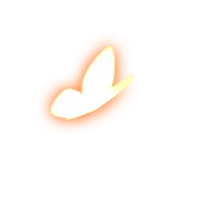 Shining Butterfly - outline - High Resolution PNG