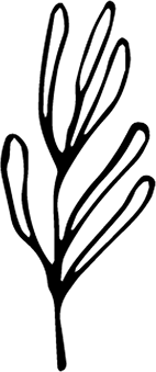 nocturnal - No Background PNG - Black Owl - Pic 3