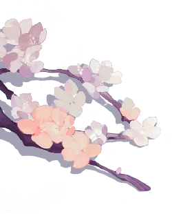 Cherry Blossom Branch - spring - white - Transparent Background PNG