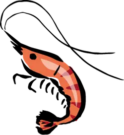 Shrimp - simple pattern - No Background PNG
