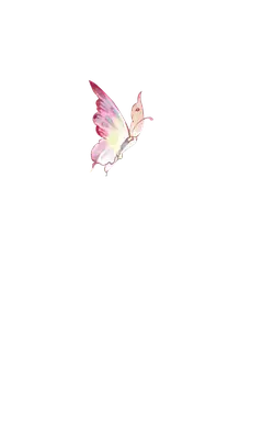 Butterfly - Trending PNG - flying