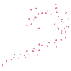 Pink Petals - lightweight - Lossless PNG