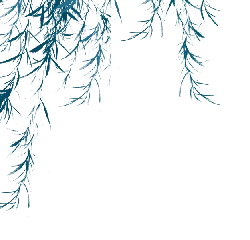 Willow Branches - blue - PNG Images