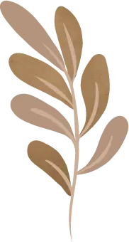 Brown Leaves - plant - PNG