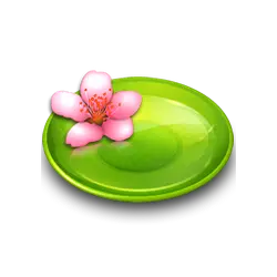 Green Plate with Pink Flower - pink - Transparent Layer PNG