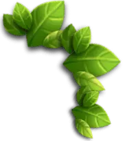 Green Leaves - No Background PNG - Curated PNG