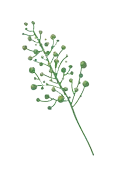 Green Branch - nature - Free Download PNG