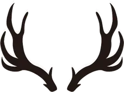 Deer Antlers - nature - High Quality PNG