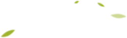 Green Light Spots - High Quality PNG