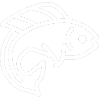 Jumping Fish - jumping - High Resolution PNG