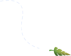 Leaf - leaf - simple - High Resolution PNG