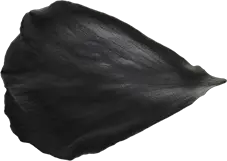 Rose Petal - black background - petal - Free PNG