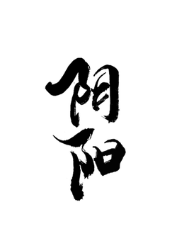 White Circle on Black Background - geometric - Transparent Background PNG