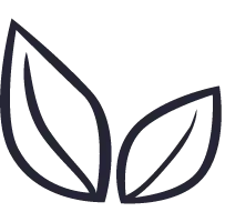 Leaf Pattern - nature - plant - Free Download PNG