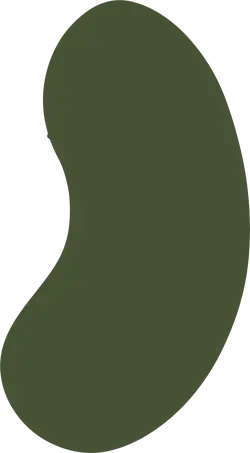 Bean Shape Pattern - green - PNG Images