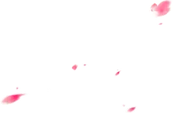 Pink Petals Falling - Free for Commercial Use PNG - falling