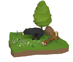 Black Bear - grassland - PNG