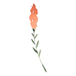 Red Flower - red - Fast Download PNG