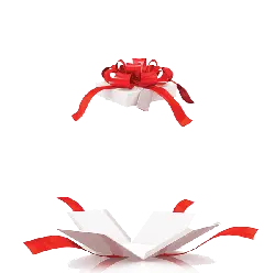 Gift Box - open - No Background PNG
