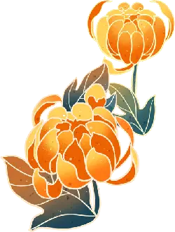 Chrysanthemum - flower - yellow - No Watermark PNG
