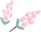 Pink Flowers - Trending PNG - beautiful