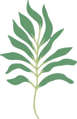 Fern Leaf - nature - Popular Download PNG