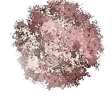 Cherry Blossom Tree - High Quality PNG - High Resolution PNG