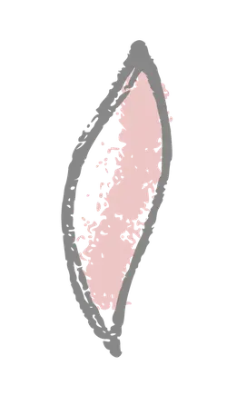 Pink Petal - petal - nature - No Background PNG