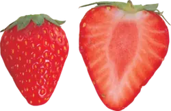 Strawberry - Free PNG - Designer's Pick PNG