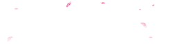 Pink Petals - Transparent Layer PNG - Highly Rated PNG