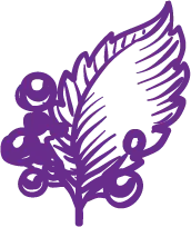 Grape Leaf - purple - PNG Images