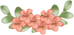 Pink Flowers - pink - Free Download PNG