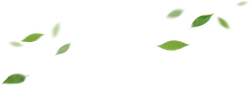 Leaves Falling - background - Designer's Pick PNG
