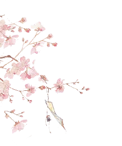 Pink Cherry Blossom Tree - PNG Images