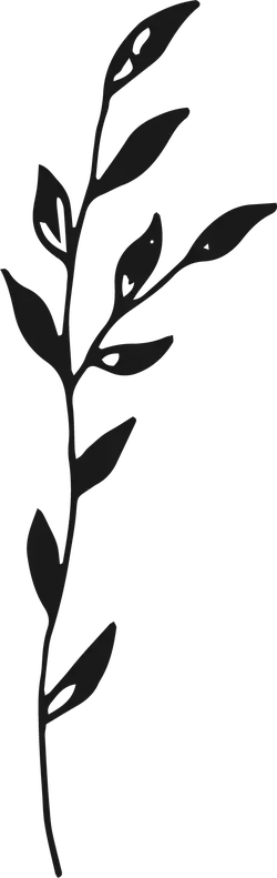 Branch - nature - No Watermark PNG