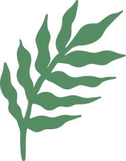 Fern Leaf - green - High Download Count PNG