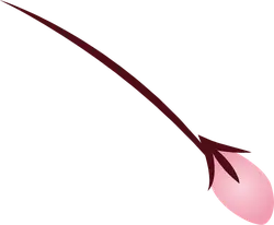 beautiful - Cherry Blossom - Lossless PNG - Pic 1