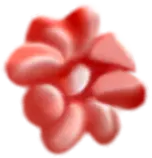 Five Petal Flower - red - PNG