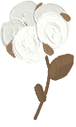 Cotton - soft - flower - Transparent Layer PNG
