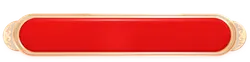 Red Rectangle Button - Trending PNG