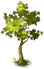 Clover Tree - plant - Free PNG