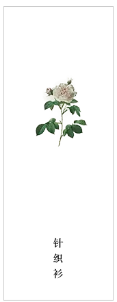 Rose - Free for Commercial Use PNG - No Background PNG
