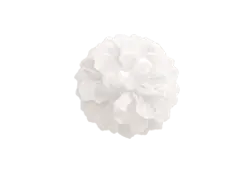 White Flower - decoration - High Resolution PNG