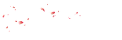 Pink Petals - fall - Transparent Background PNG