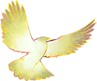 Flying Dove - hope - Lossless PNG