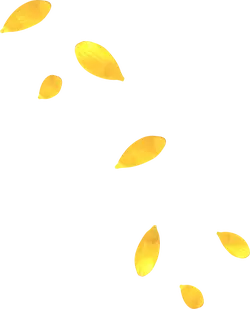 Ginkgo Leaves Falling - yellow - High Resolution PNG