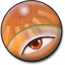 Eye Pattern - Transparent Background PNG