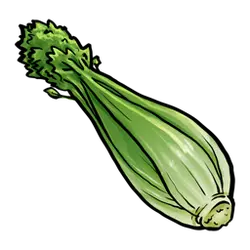 Celery - healthy food - stem vegetable - No Watermark PNG