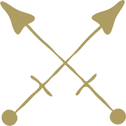 Crossed Arrows - Designer's Pick PNG