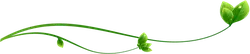 Green Vine and Leaves - plant - High Resolution PNG
